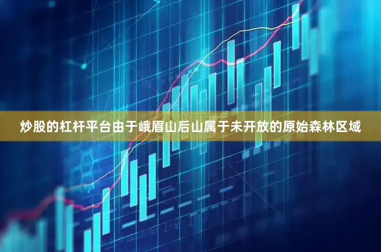 炒股的杠杆平台　　由于峨眉山后山属于未开放的原始森林区域