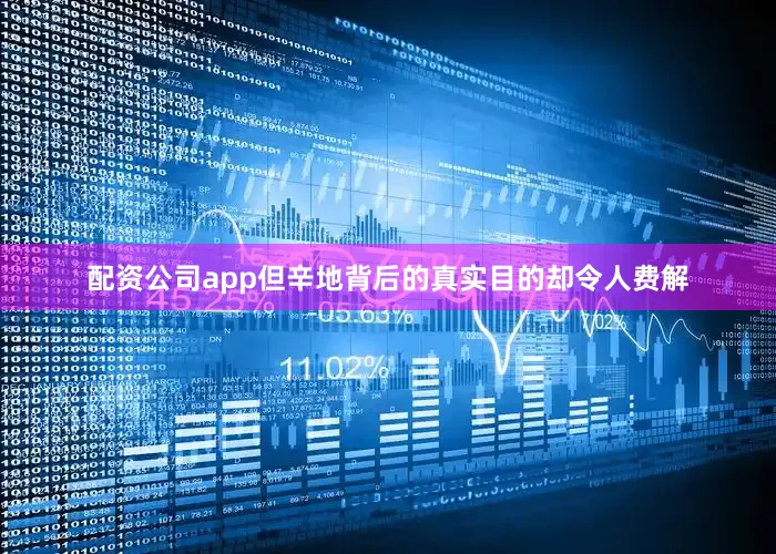 配资公司app但辛地背后的真实目的却令人费解