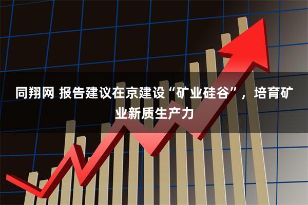 同翔网 报告建议在京建设“矿业硅谷”，培育矿业新质生产力