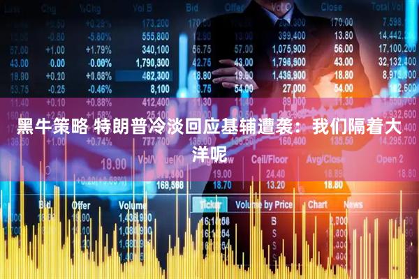 黑牛策略 特朗普冷淡回应基辅遭袭：我们隔着大洋呢