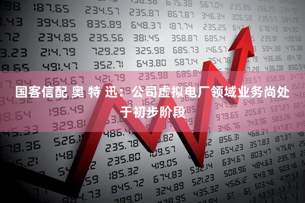 国客信配 奥 特 迅：公司虚拟电厂领域业务尚处于初步阶段
